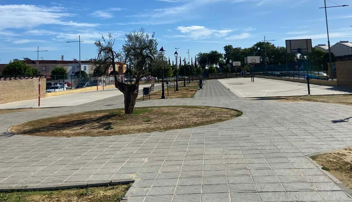 Proyectos